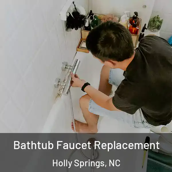  Bathtub Faucet Replacement Holly Springs, NC