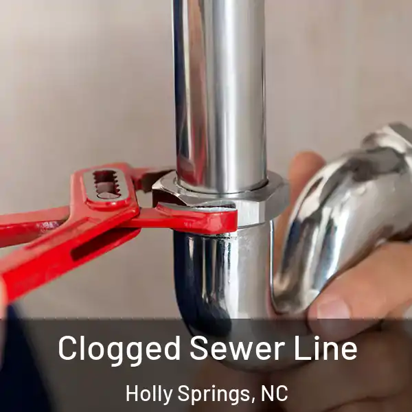  Clogged Sewer Line Holly Springs, NC