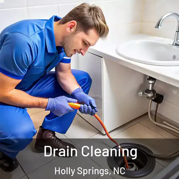  Drain Cleaning Holly Springs, NC
