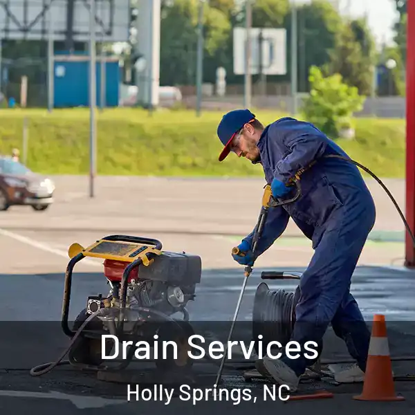  Drain Services Holly Springs, NC