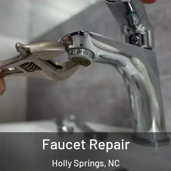  Faucet Repair Holly Springs, NC