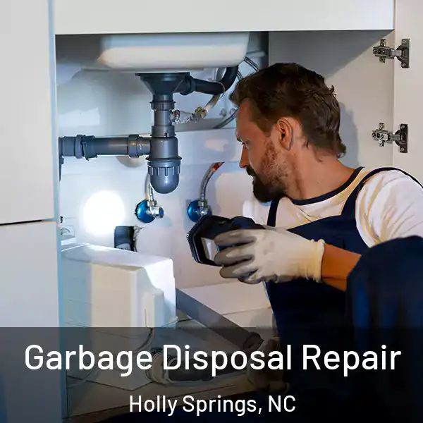  Garbage Disposal Repair Holly Springs, NC