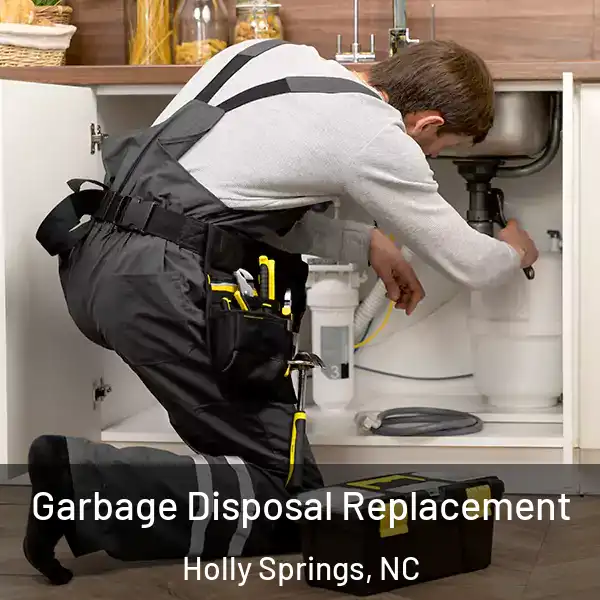  Garbage Disposal Replacement Holly Springs, NC