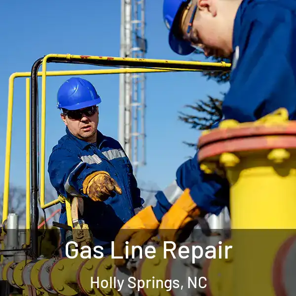  Gas Line Repair Holly Springs, NC