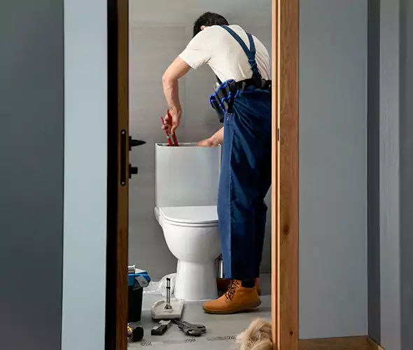 Professional Plumbers for Toilet Bowl Replacement in Holly Springs, NC: Schedule Affordable Toilet Replacement Services With Us