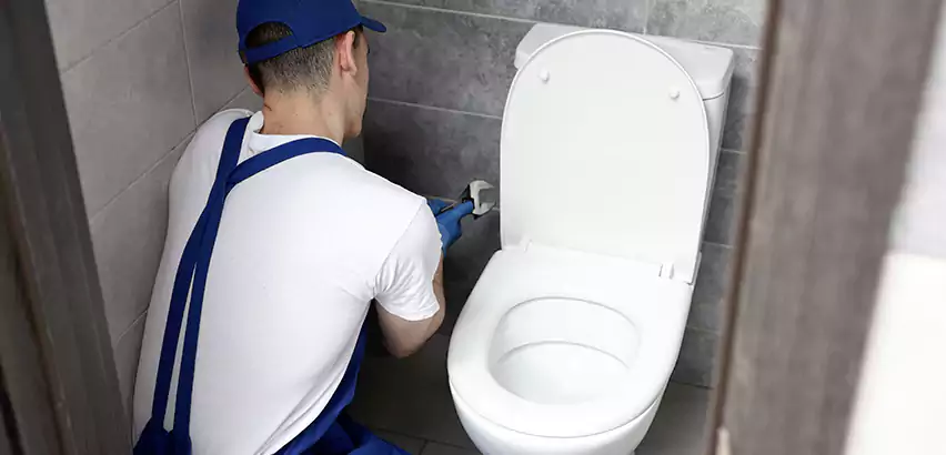 Toilet Lid Replacement in Holly Springs