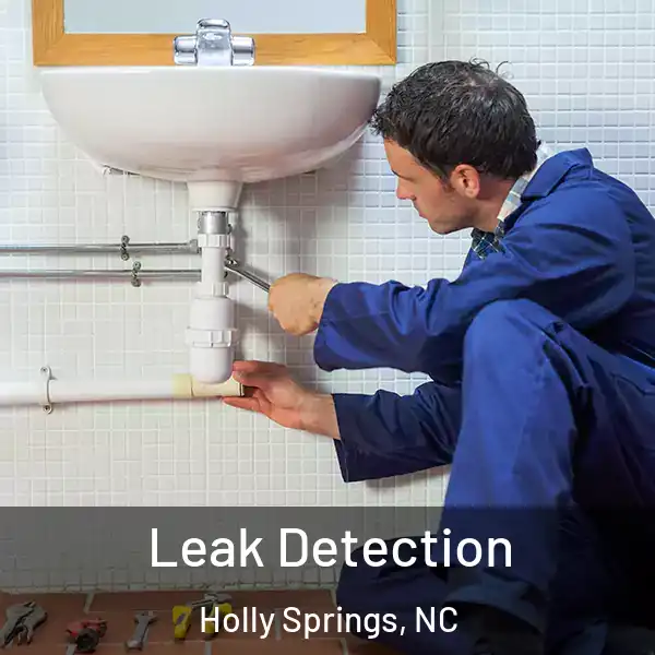  Leak Detection Holly Springs, NC