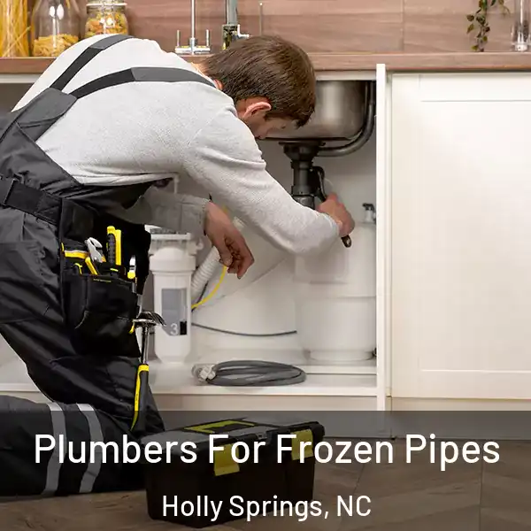  Plumbers For Frozen Pipes Holly Springs, NC