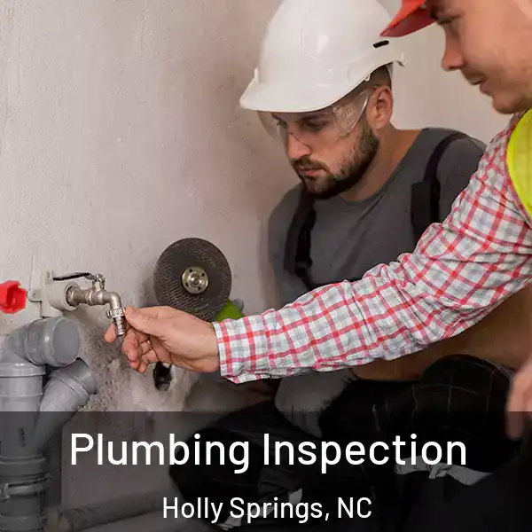  Plumbing Inspection Holly Springs, NC