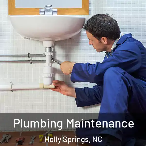  Plumbing Maintenance Holly Springs, NC