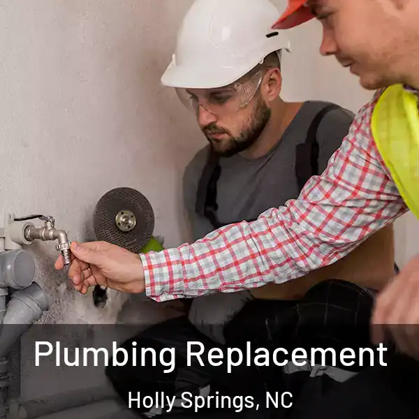  Plumbing Replacement Holly Springs, NC