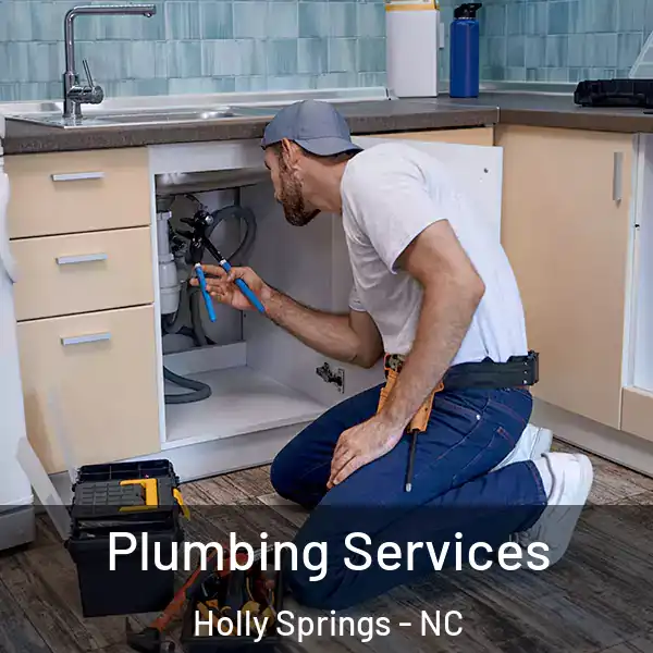  Plumbing Services Holly Springs - NC