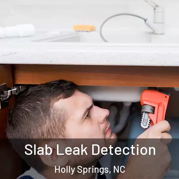  Slab Leak Detection Holly Springs, NC
