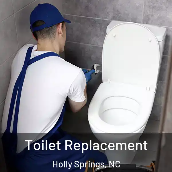  Toilet Replacement Holly Springs, NC